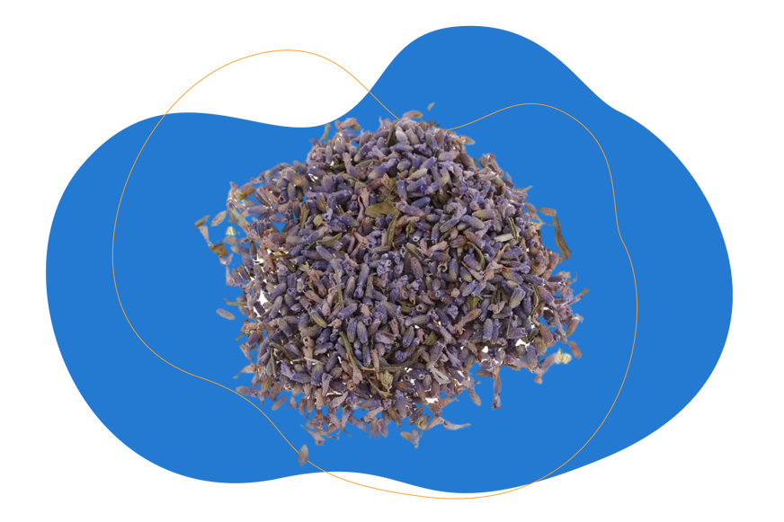 flores desidratadas de lavanda
